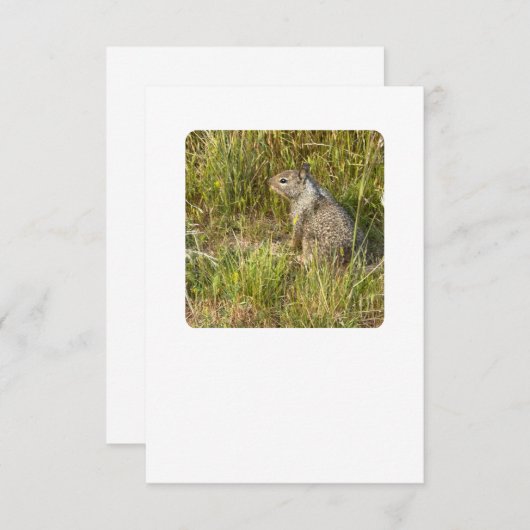 Vervangen forceren met masker kaart (Voorkant / Achterkant)