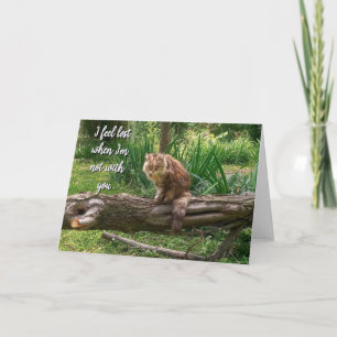 Vervangende kattenfoto gevouwen wenskaart kaart
