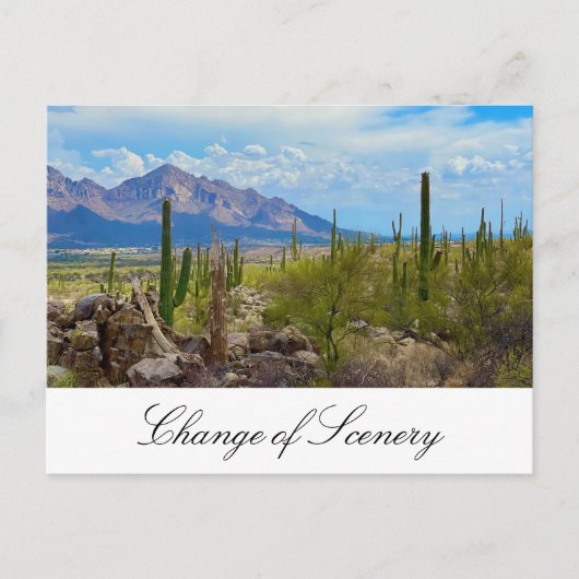 Vervanging van adres: Cactus Moving Aankondigingskaart (Voorkant)