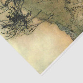 Vervanging van water voor vrouwen in het winkelboe tissuepapier (Detail)