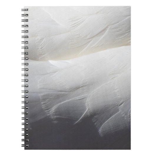 Vervangt de witte zwaluw notitieboek (Voorkant)