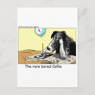 Verveelde Border Collie Grappige Cadeaus T-shirts  Briefkaart