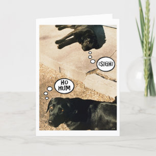 Verveelde honden - We missen je Kaart