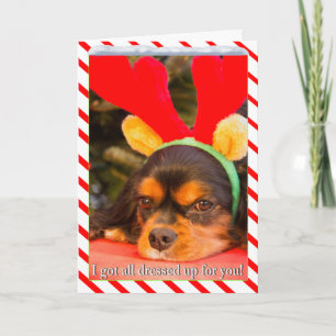 Verveelde King Charles Spaniel Rendier Kerstkaart Feestdagen Kaart