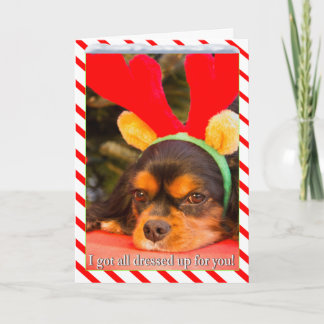 Verveelde King Charles Spaniel Rendier Kerstkaart Feestdagen Kaart