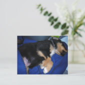 Verveelde slaperige puppy briefkaart (Staand voorkant)