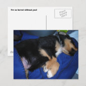 Verveelde slaperige puppy briefkaart (Voorkant / Achterkant)