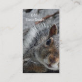 vervelende eekhoorn visitekaartje (Achterkant)