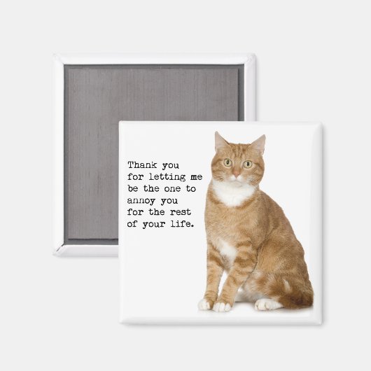 Vervelende kattenmagneet magneet (Voorkant / Achterkant)