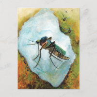 Vervelende Mosquito Summer Delight