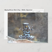 Verven Poison Dart Frog Briefkaart (Voorkant / Achterkant)