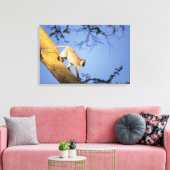 Vervet aap op boomtak, Serengeti Canvas Afdruk (Insitu (Woonkamer))