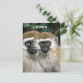 Vervet apen in Nairobi, Kenia Briefkaart (Staand voorkant)
