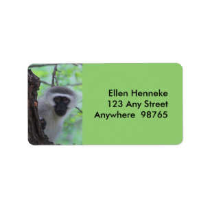Vervet Monkey Etiket