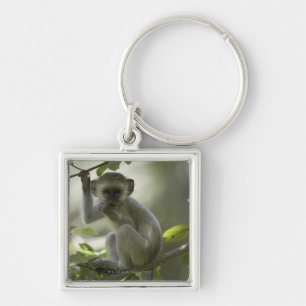 Vervet Monkey, Zimbabwe Sleutelhanger