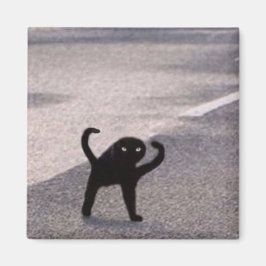 Vervloekte kat meme magneet