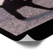 Vervloekte kattenmemen vervloekte kat boos als mem poster (Hoek)