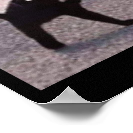 Vervloekte kattenmemen vervloekte kat boos als mem poster (Hoek)