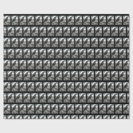 vervloekte veren cadeaupapier (Vlak)