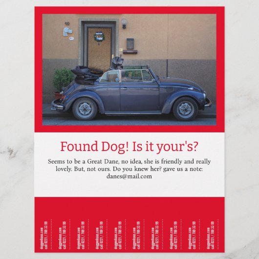 Vervlogen Hond Afscheur Flyer (Voorkant)