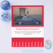 Vervlogen Hond Afscheur Flyer (Enkel)