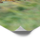 Vervlogen zonnebloem close-up poster (Hoek)