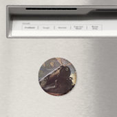  vervoer, bergtrein magneet (Insitu (Vaatwasser))