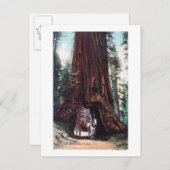 Vervoer onder een reuzenroodbaars briefkaart (Voorkant / Achterkant)