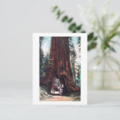 Vervoer onder een reuzenroodbaars briefkaart (Staand voorkant)