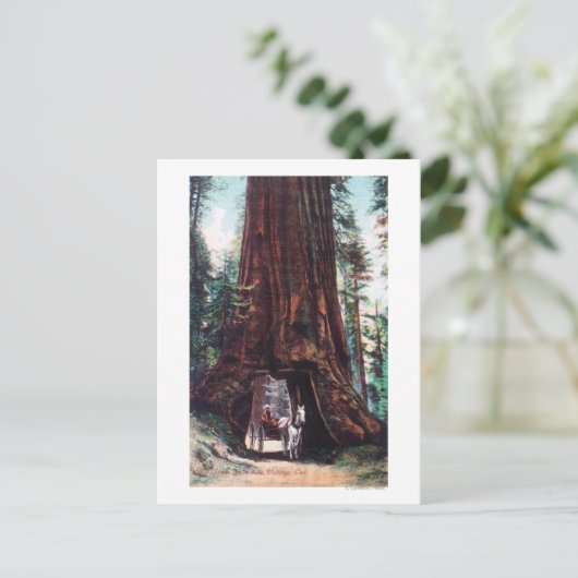 Vervoer onder een reuzenroodbaars briefkaart (Staand voorkant)