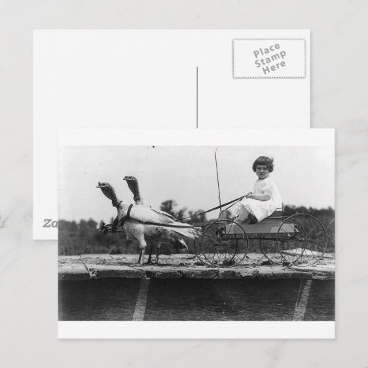 Vervoer Turkije Briefkaart (Voorkant / Achterkant)