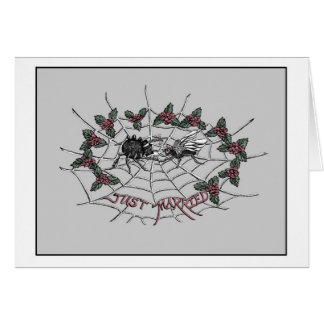 Vervoer van de spin en de vliegkaart