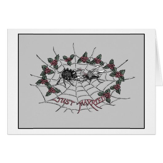 Vervoer van de spin en de vliegkaart (Voorkant Horizontaal)