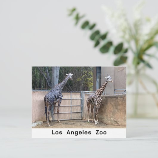 Vervoertijd Briefkaart (Staand voorkant)