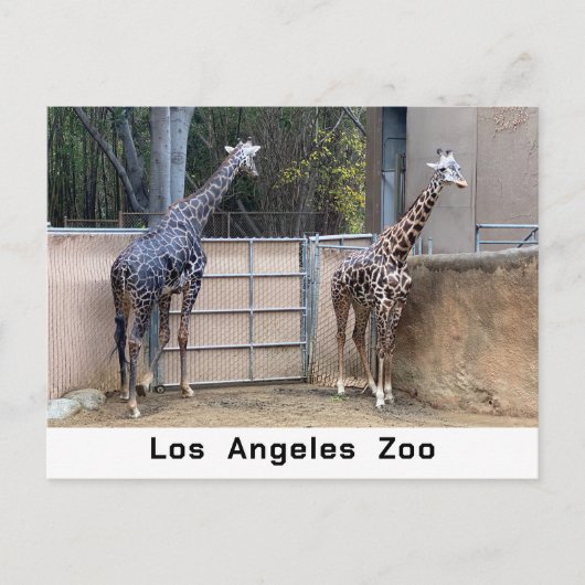 Vervoertijd Briefkaart (Voorkant)