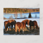 Vervoertijd Briefkaart (Voorkant)