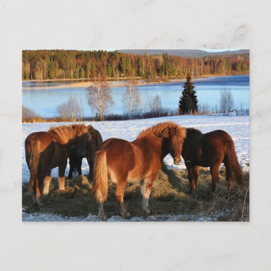 Vervoertijd Briefkaart (Voorkant)