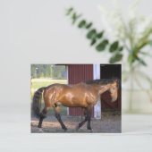 Vervoertijd Briefkaart (Staand voorkant)