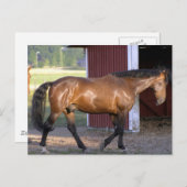 Vervoertijd Briefkaart (Voorkant / Achterkant)