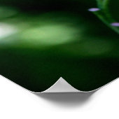 Vervoertijd op de Lillies 4 Poster (Hoek)