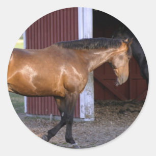 Vervoertijd Ronde Sticker