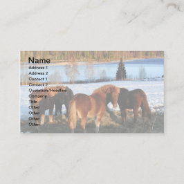 Vervoertijd Visitekaartje