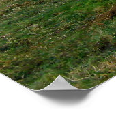 Vervoertijd voor de koe van Guernsey Poster (Hoek)