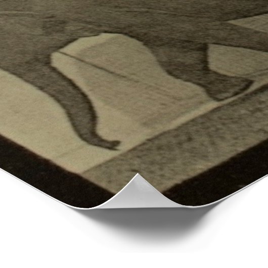 Vervolgde Afbeeldingen van een Elephant Walking Pr Poster (Hoek)