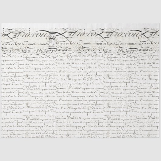 Vervolgpapier voor koninginnenbijen tissuepapier (Voorkant)