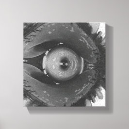 Vervormd Chicago Oog Canvas Afdruk