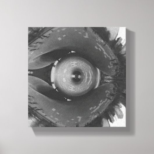 Vervormd Chicago Oog Canvas Afdruk (Voorkant)