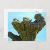 vervormde saguaro cactus.jpg briefkaart (Voorkant / Achterkant)