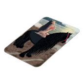 Vervulling - Magnet Magneet (Linkerzijde)