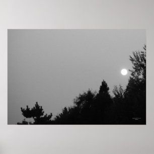 Vervulling: Natuur Zen/Tao-Poster Poster